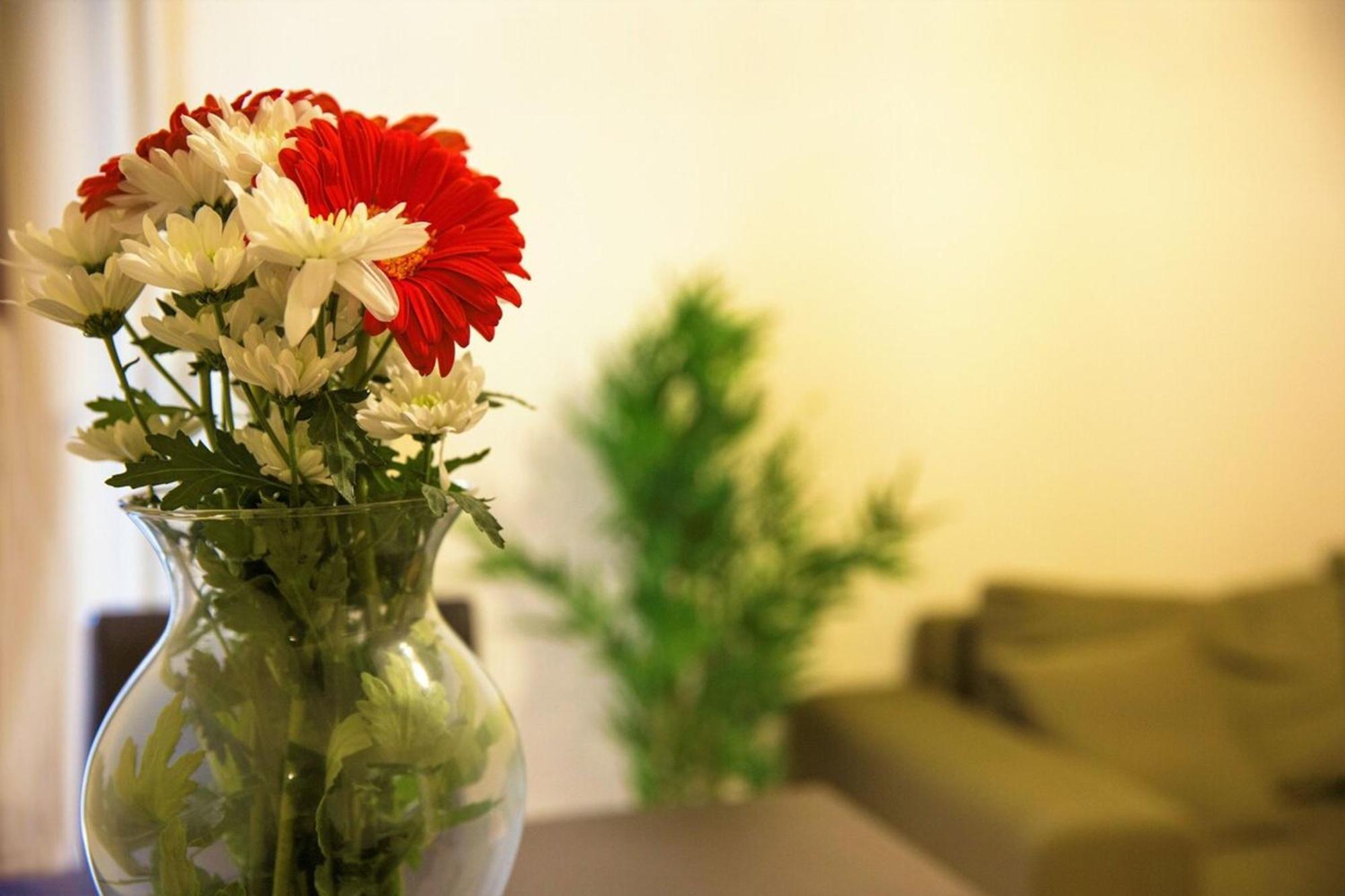 Peaceful Renovated Apartment Near Lycabettus Hill Athen Eksteriør billede